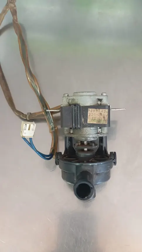 Bomba de desagüe de un electrodoméstico desmontada